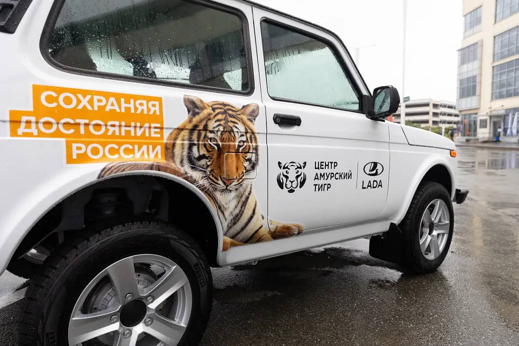 Автомобили LADA помогают в защите амурских тигров
